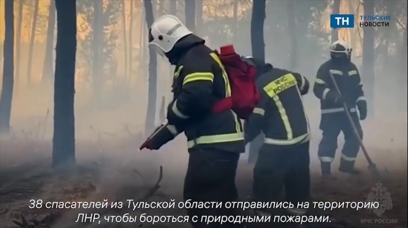 Тульские спасатели борются с природными пожарами в ЛНР (Тульские новости)